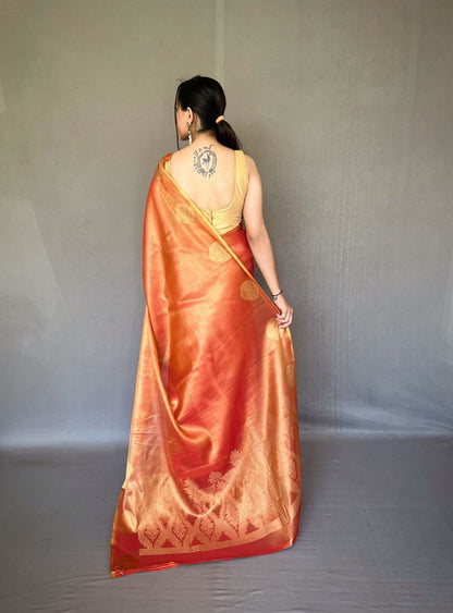 Aura Of Amber Saree