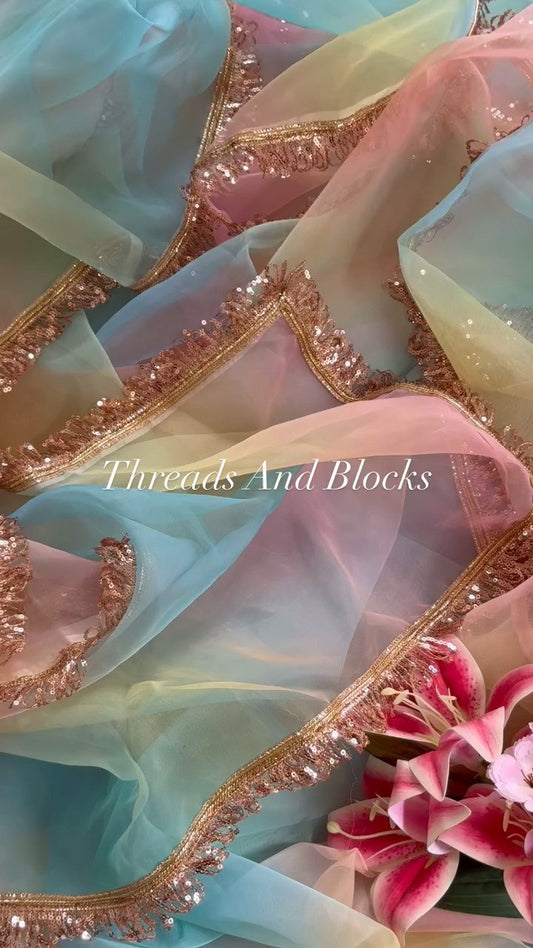 Celestial Bloom Saree