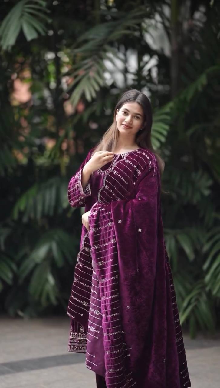 "Elegant Embroidered Viscose Velvet Ensemble"