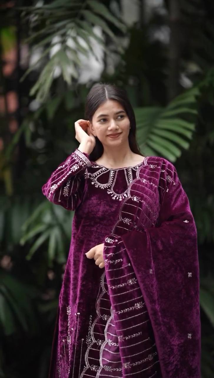 "Elegant Embroidered Viscose Velvet Ensemble"